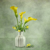canvas-print-calia-lillies