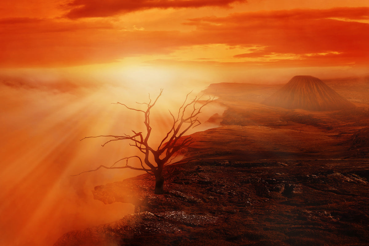aluminium-print-colorful-landscape