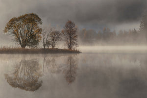 3-piece-aluminium-print-october-morning