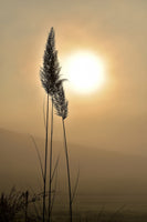 aluminium-print-atmospheric