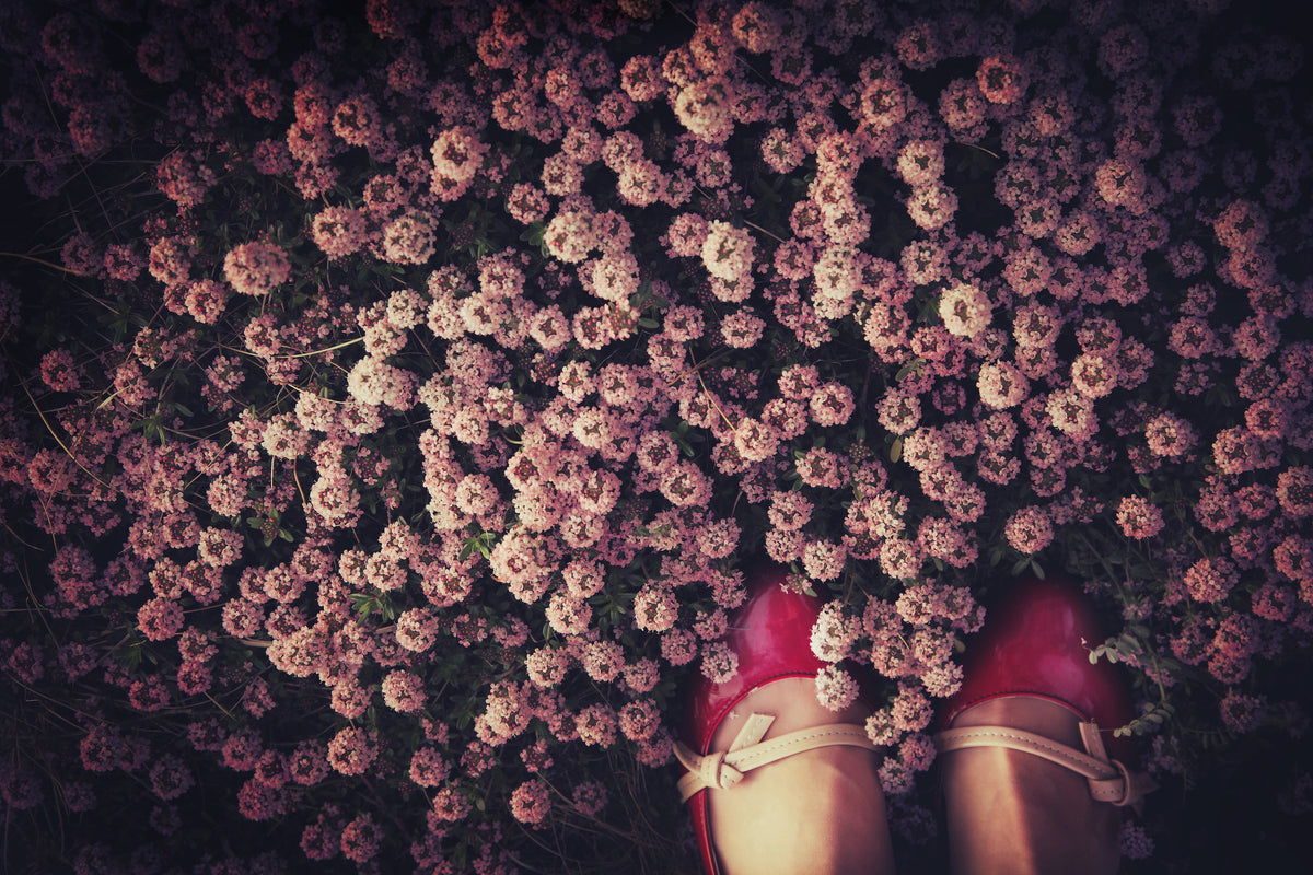 framedposter-print-thyme-carpet-x