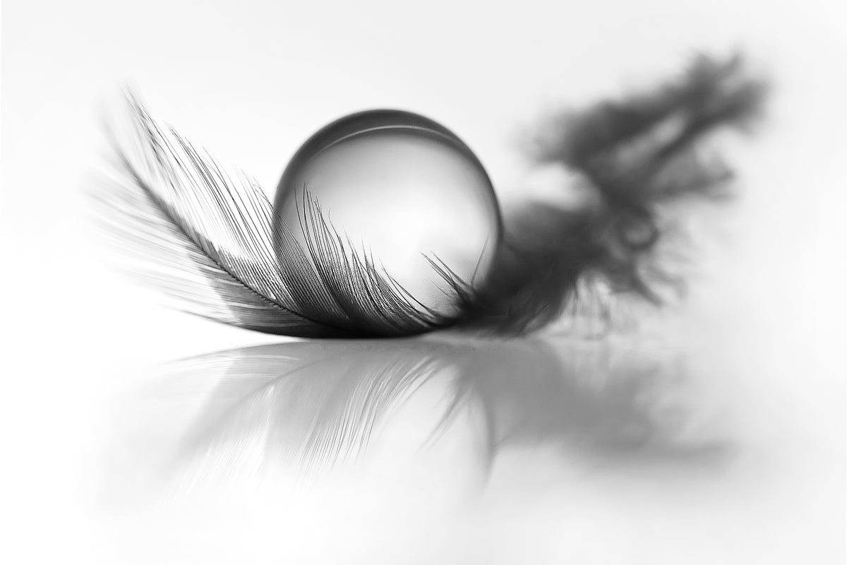 framedposter-print-lightness-x
