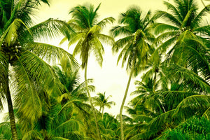 framedposter-print-mural-ready-for-a-vacation