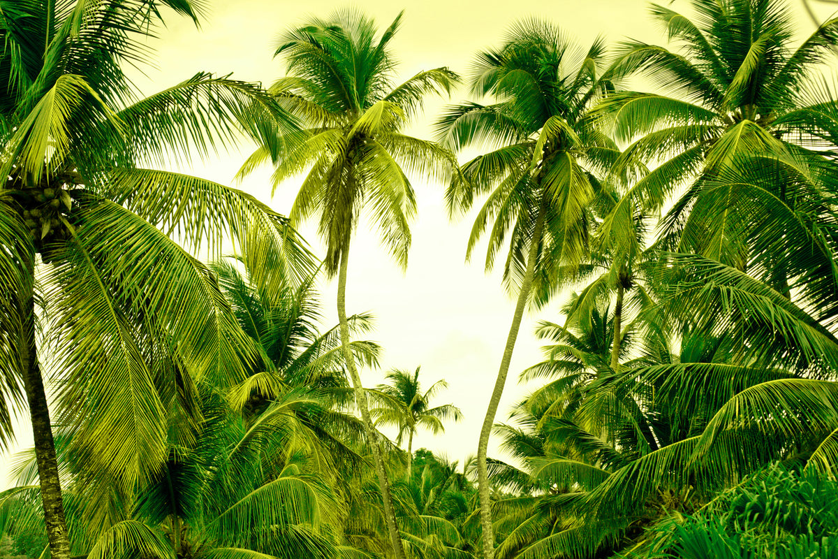 framedposter-print-mural-ready-for-a-vacation