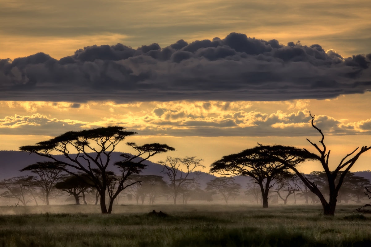 3-piece-canvas-print-good-evening-tanazania