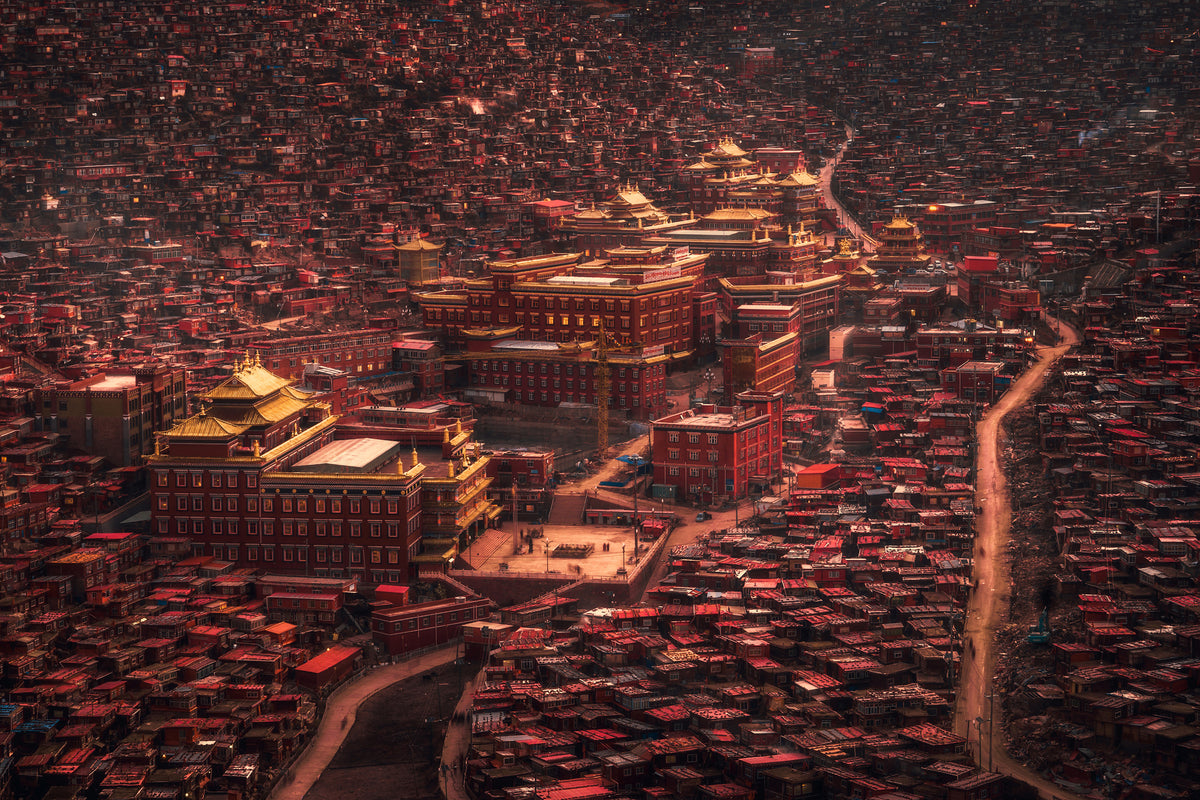 canvas-print-the-buddha-domain-x