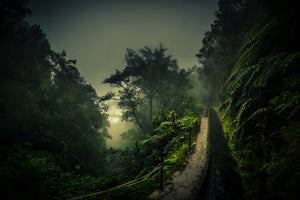 poster-print-levada-walk-x