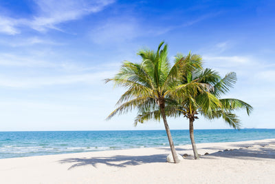 poster-print-thailand-dream-beach
