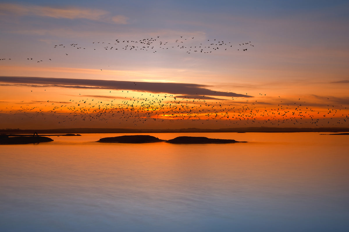 3-piece-aluminium-print-by-sunset