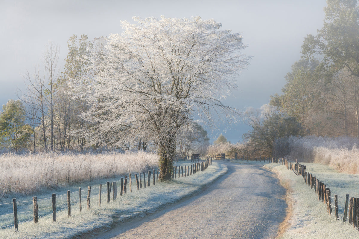 modern-3-piece-canvas-print-a-frosty-morning