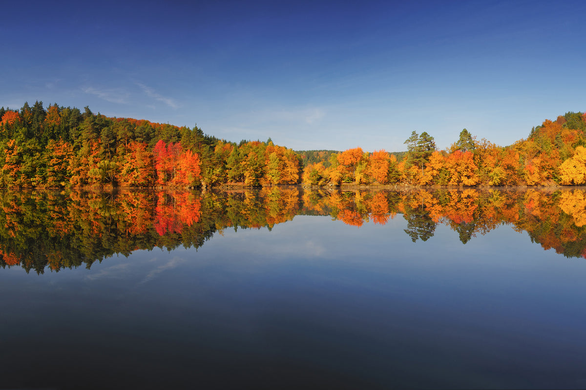 poster-print-autumn-ii