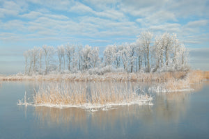 canvas-print-winter-xfq
