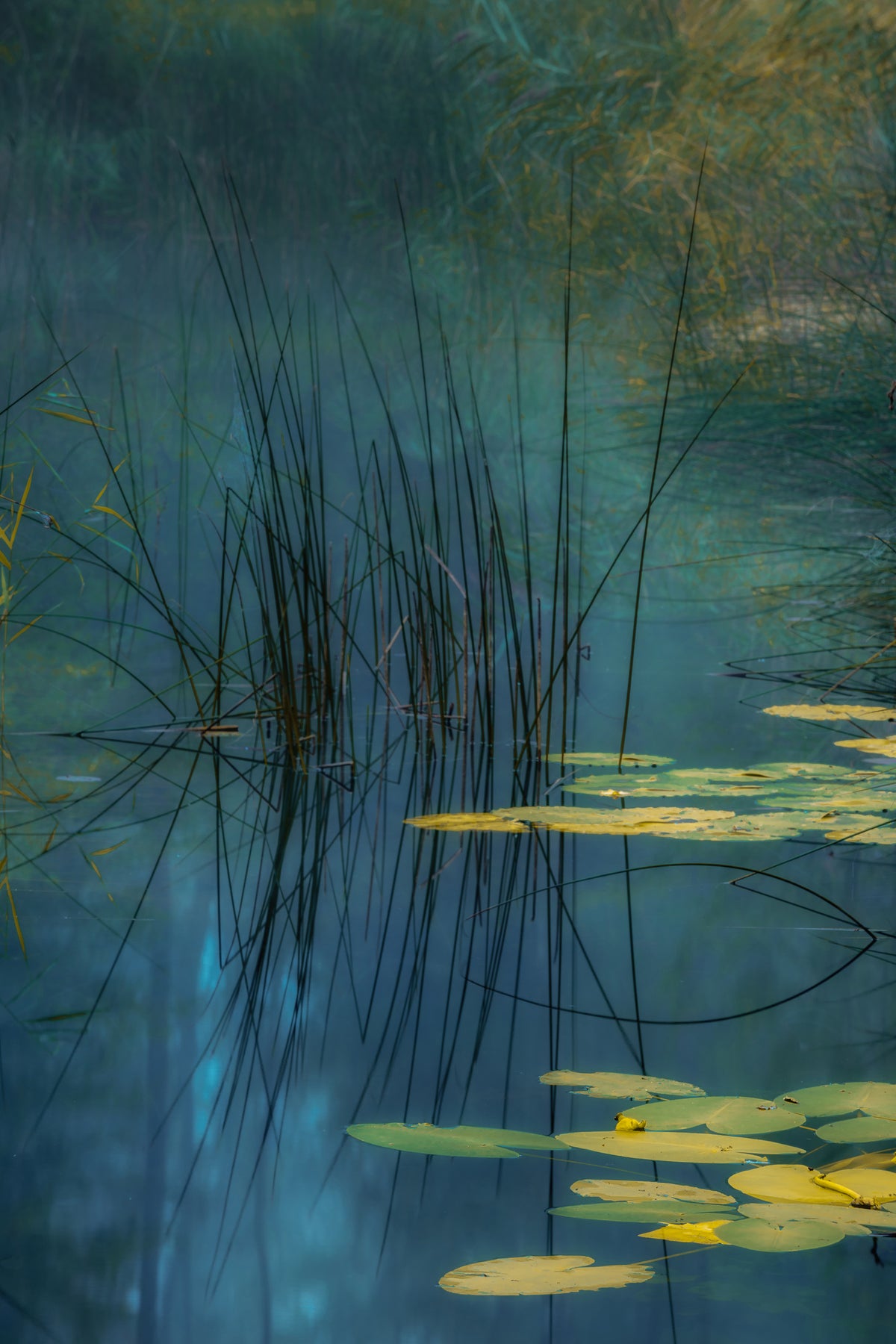 acrylic-print-aqua