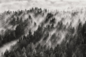 modern-3-piece-canvas-print-sundance-no-i