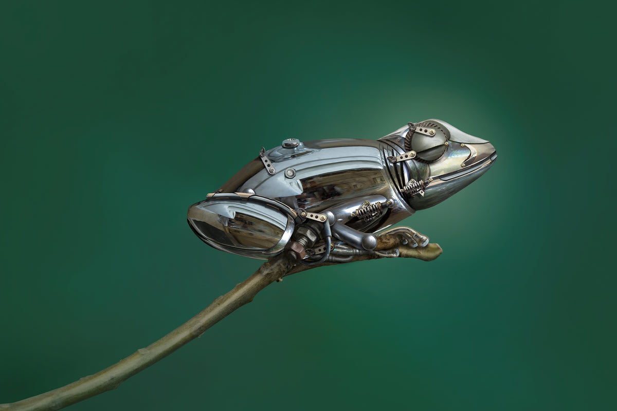3-piece-acrylic-print-frog