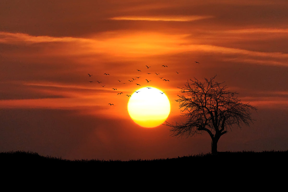 poster-print-the-sunset-on-the-horizon