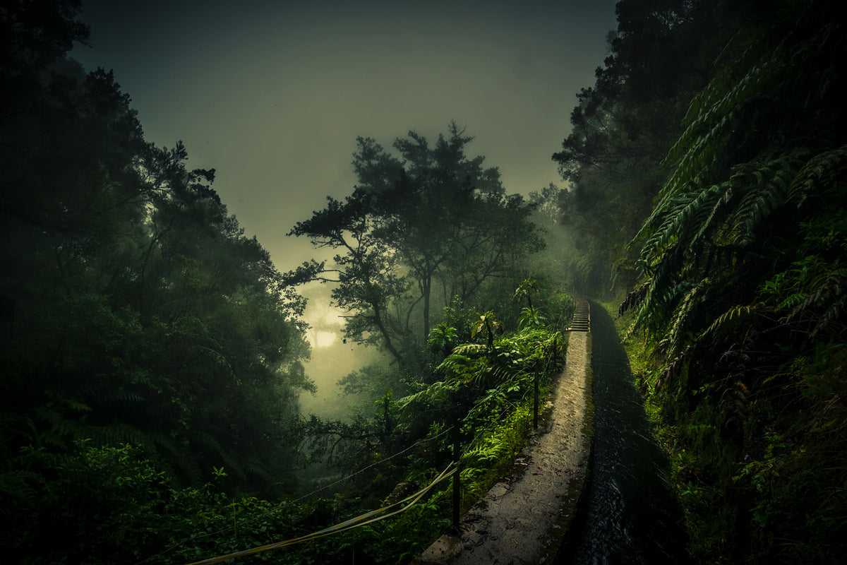 framedcanvas-print-levada-walk-x