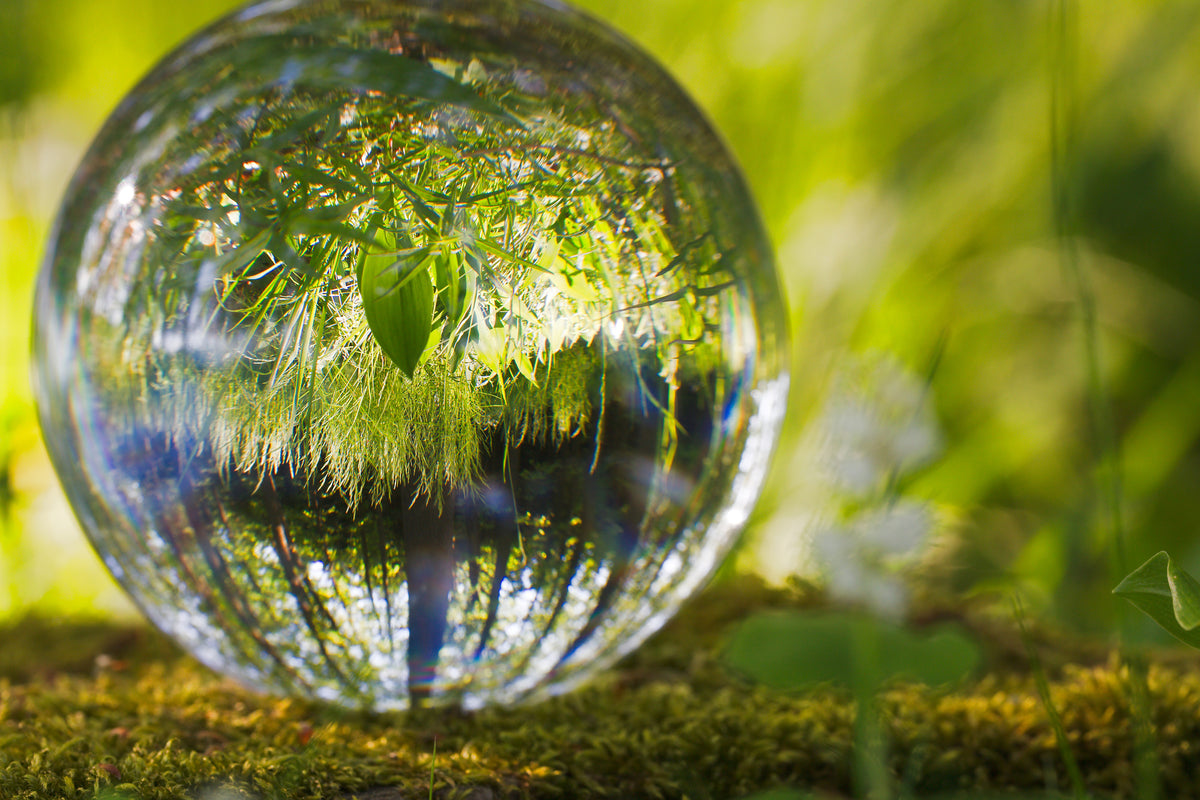 framedposter-print-nature-ball