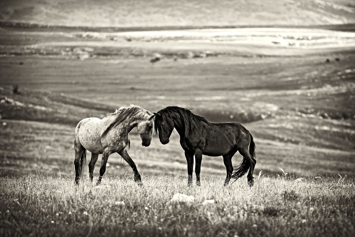 poster-print-close-encounter-x