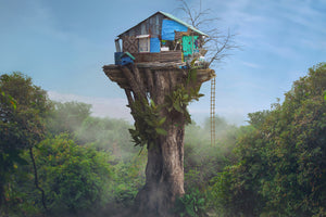 poster-print-house-in-the-sky