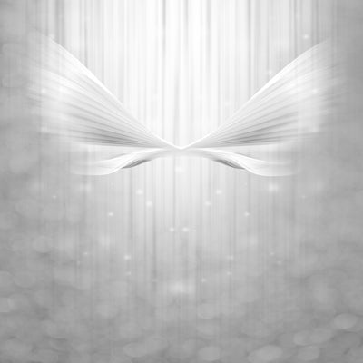 poster-print-angel-wings
