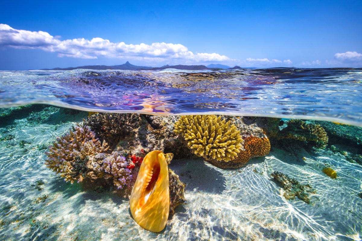 acrylic-print-lagoon-life