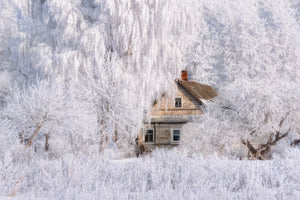 framedposter-print-winter-tale-x