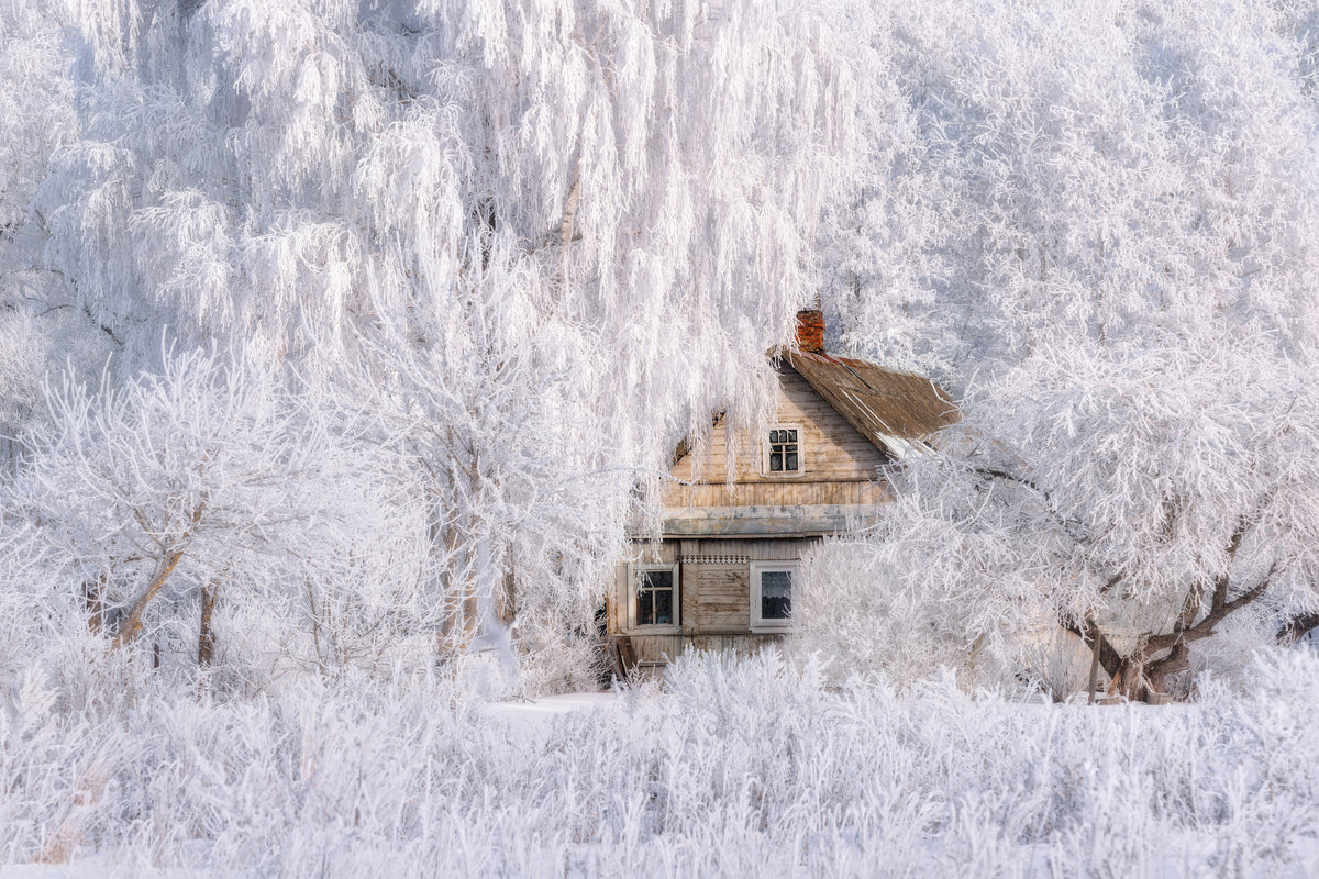 framedposter-print-winter-tale-x