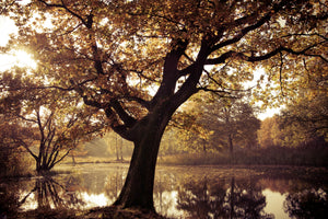 3-piece-aluminium-print-landscape-park