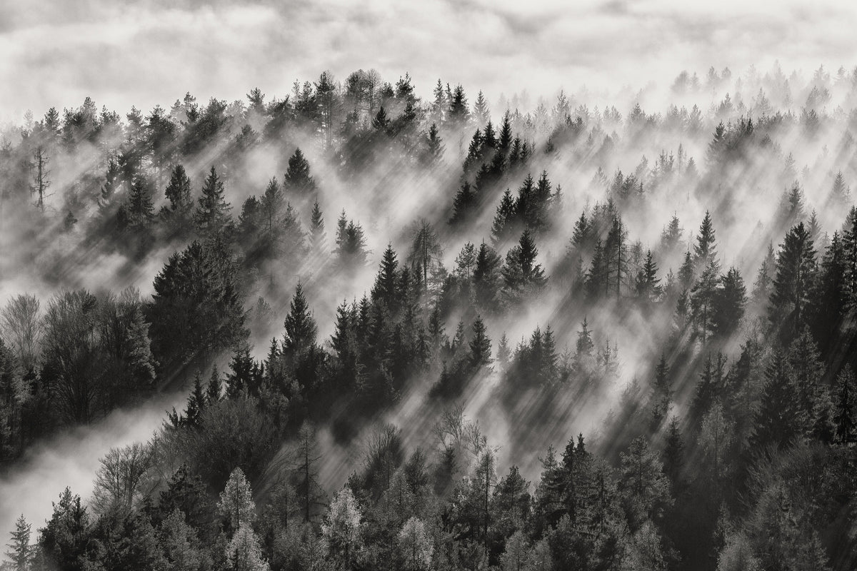 aluminium-print-sundance-no-i
