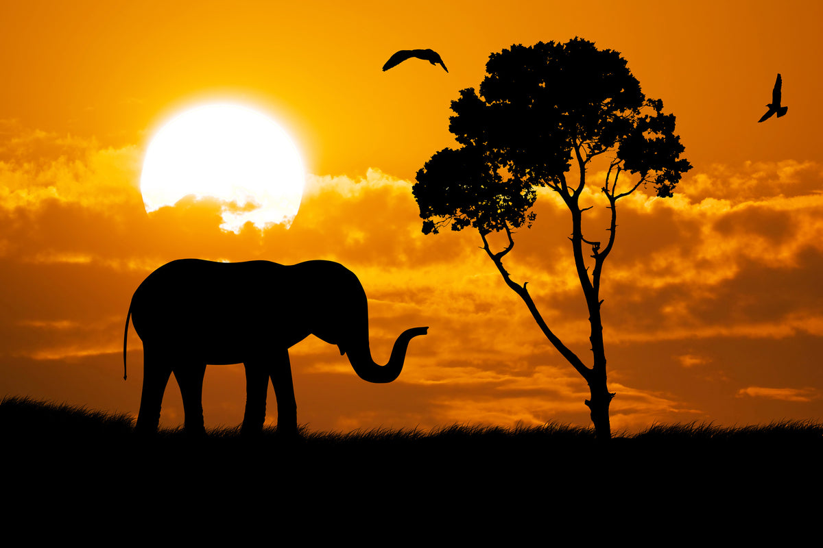 framedposter-print-dreamy-africa