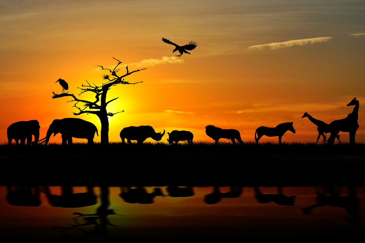 3-piece-acrylic-print-safari-animals-at-sunset