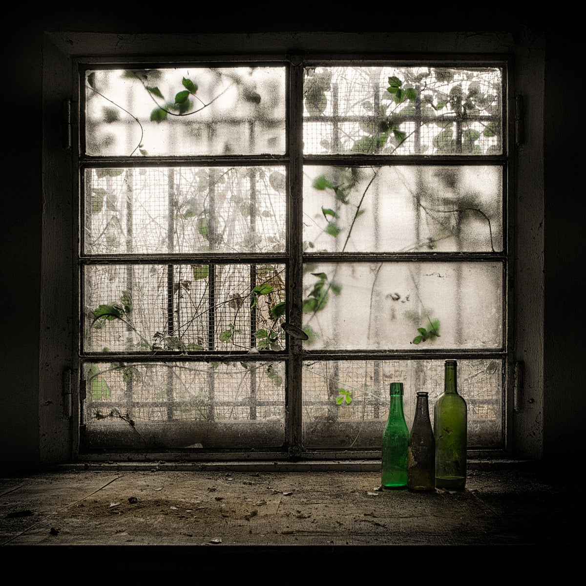 acrylic-print-still-life-with-glass-bottle