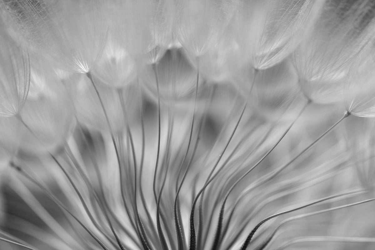 acrylic-print-dream-xir