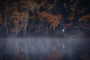 aluminium-print-misty-morning-xzt
