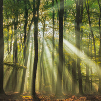 9-piece-canvas-print-sunny-start-to-the-day