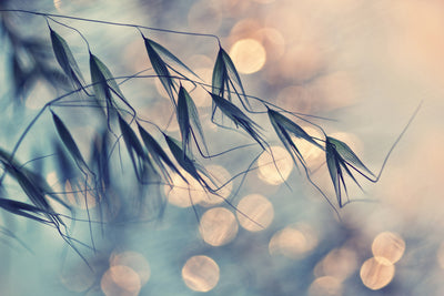 poster-print-straws
