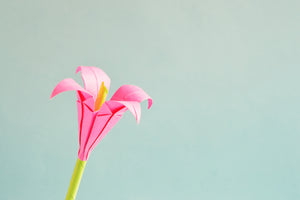 framedcanvas-print-flowers-origami