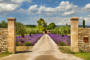 3-piece-canvas-print-lavender-garden