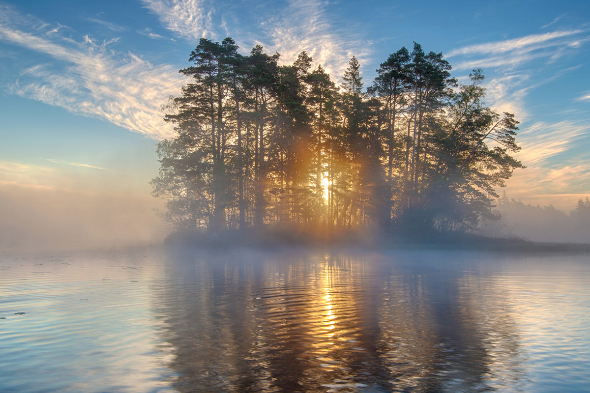 aluminium-print-morning-light-xmh