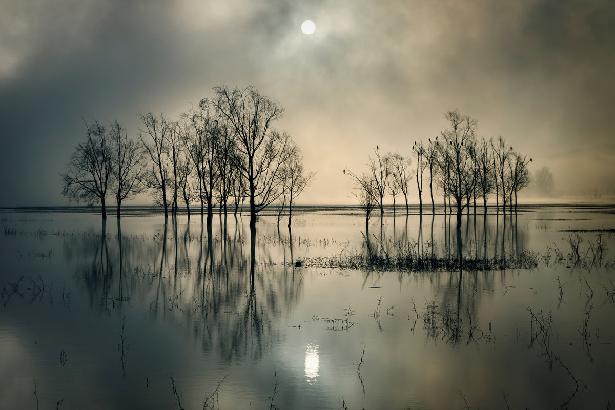 3-piece-acrylic-print-lakes-secret