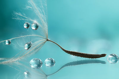 poster-print-water-x