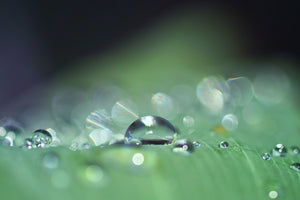 3-piece-acrylic-print-drops-of-water-in-xxl