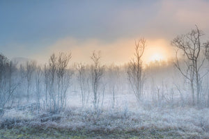 poster-print-a-touch-of-winter