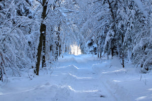 acrylic-print-finally-winter
