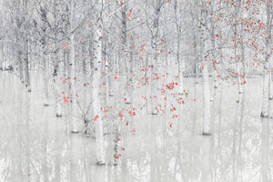 aluminium-print-red-a-white-x