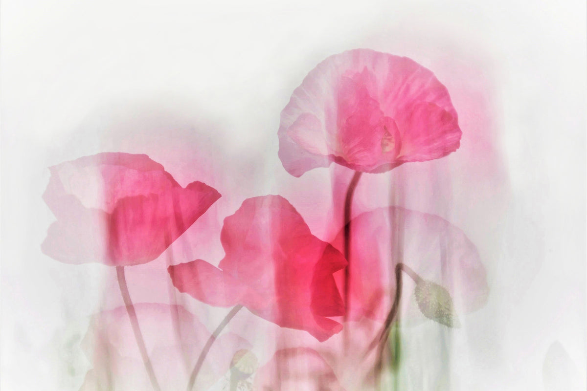 modern-3-piece-canvas-print-flowers