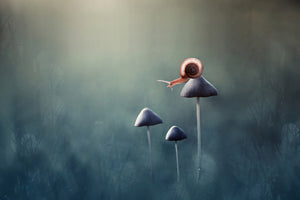 aluminium-print-lonely