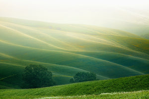 acrylic-print-tuscany