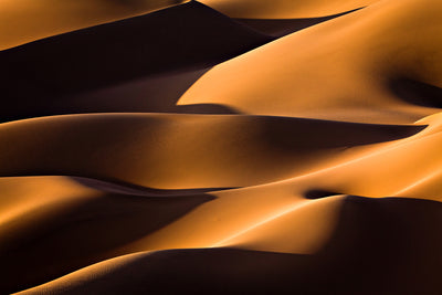 poster-print-light-and-shadow